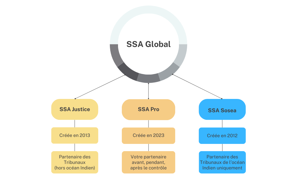 Organization Structure Chart Infographic Graph (3)